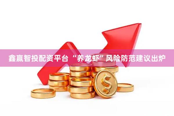 鑫赢智投配资平台 “养龙虾”风险防范建议出炉